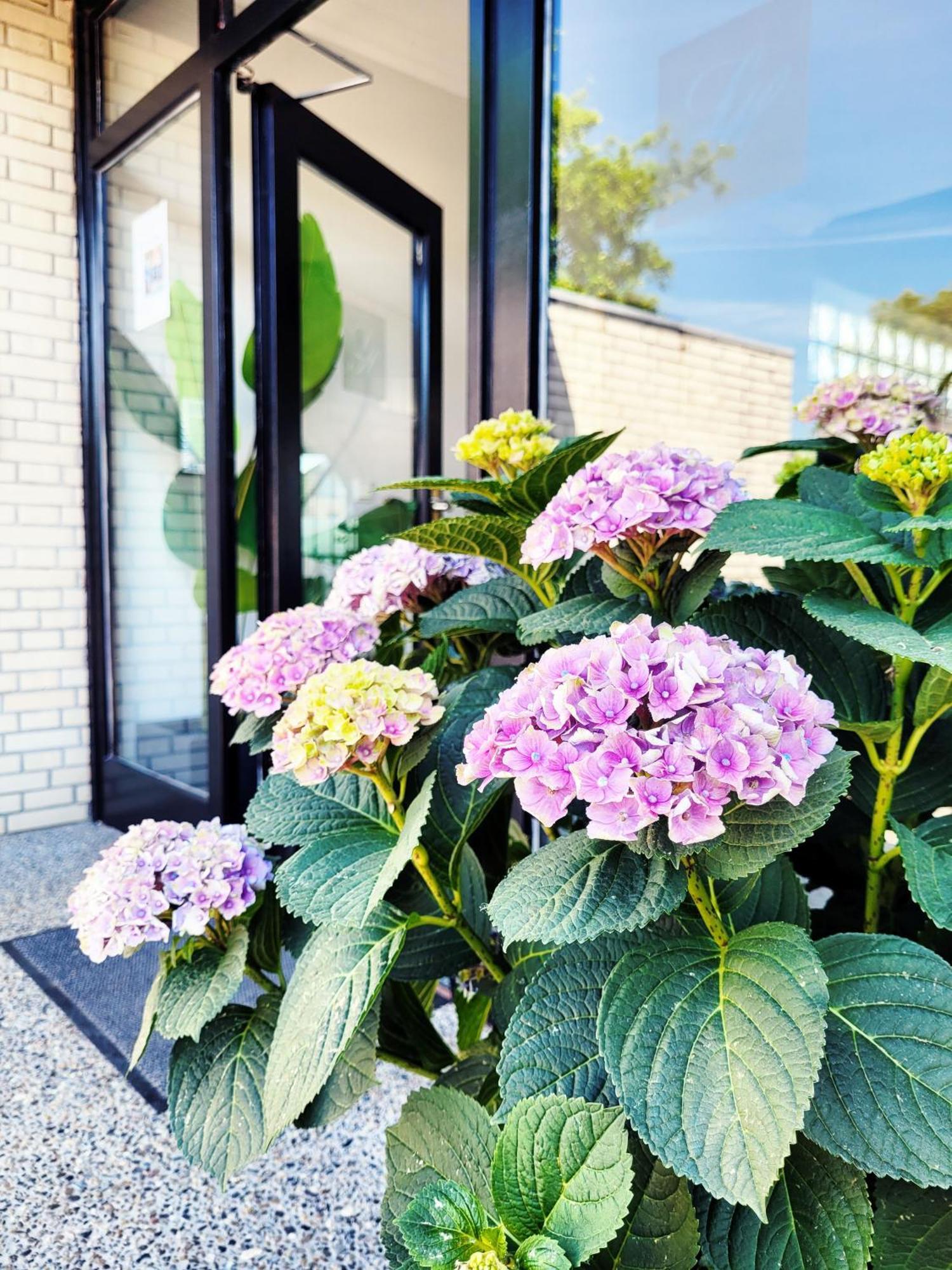 Nur 7 Gehminuten Zum Strand, Sehr Hochwertige Ferienwohnung Mit Terrasse In Ruhiger Lage, Inklusive Parkplatz Und Fahrradunterstellplatz Laesst Keine Wuensche Offen ชาร์บอยท์ซ ภายนอก รูปภาพ